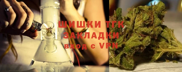 гашик Зерноград