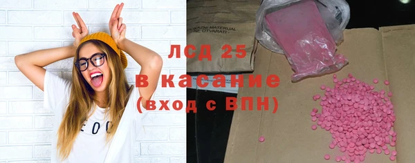 гашик Зерноград