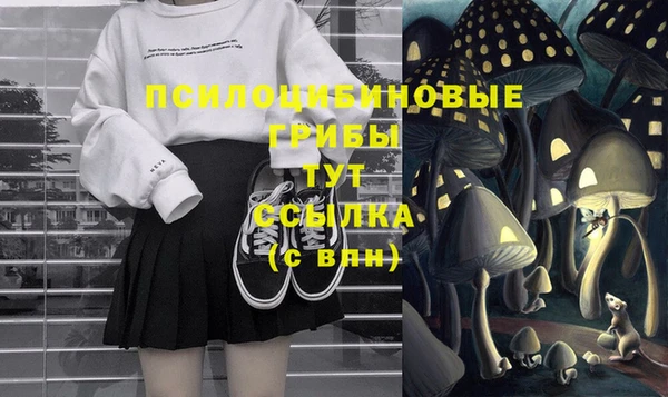 трава Зеленодольск