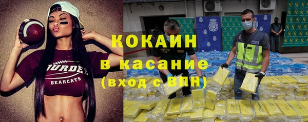 гашик Зерноград