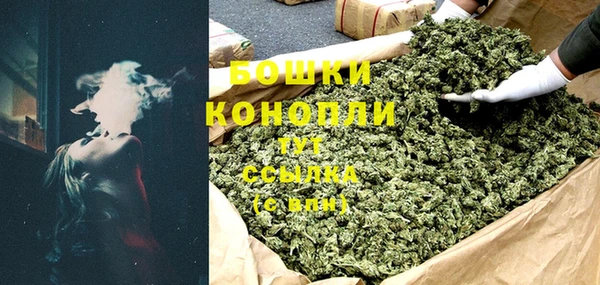 стаф Зеленокумск
