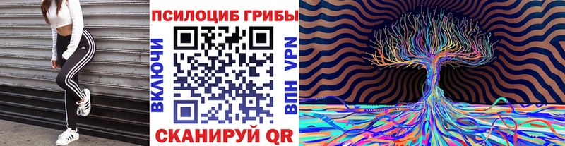 darknet какой сайт  где купить наркоту  Исилькуль  Галлюциногенные грибы MAGIC MUSHROOMS 